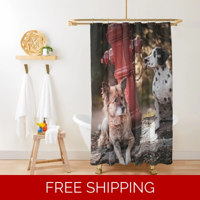 Le Studio Shower Curtain A Rush Signals Statue 2 Dogs